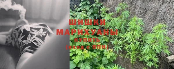 хмурый Арсеньев