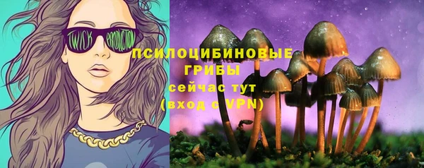 хмурый Арсеньев