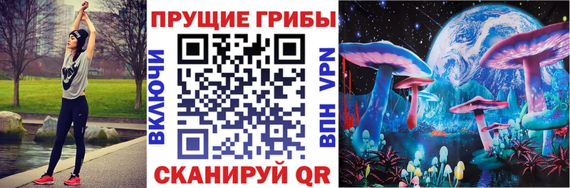 где найти наркотики  Бикин  Галлюциногенные грибы Psilocybine cubensis 